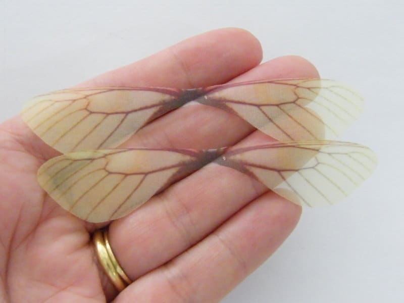 8 Yellow transparent dragonfly organza wings  A1990