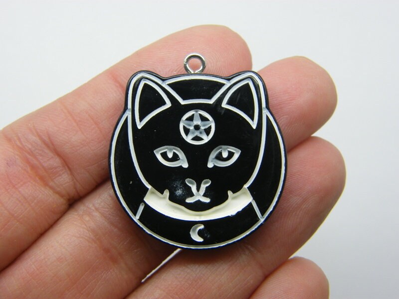 2 Cat pentagram Wicca pendants black white resin HC363
