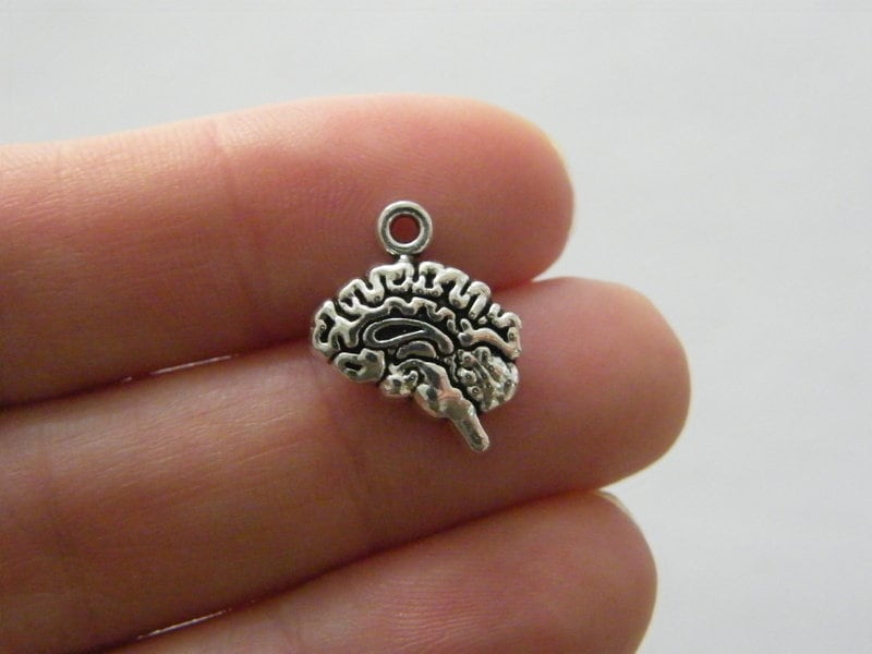 8 Brain charms antique silver tone MD43