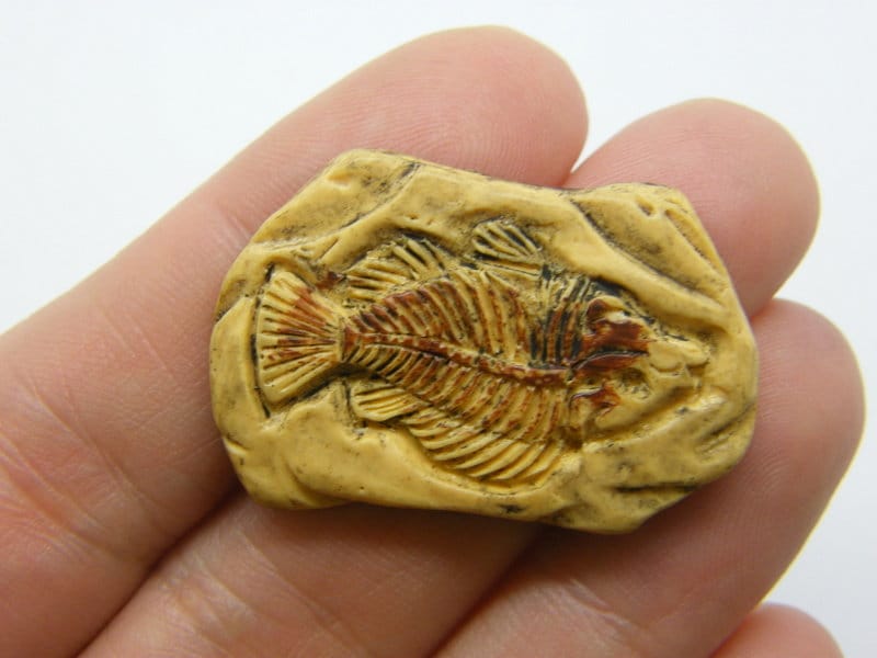 6 Fish fossil embellishment cabochon resin FF386