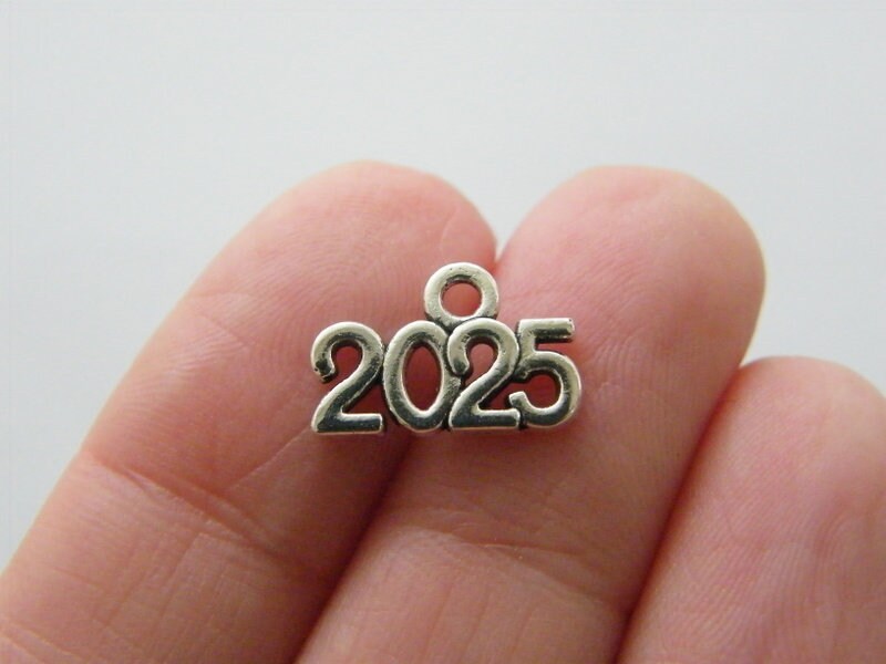 10 2025 year charms antique silver tone P388