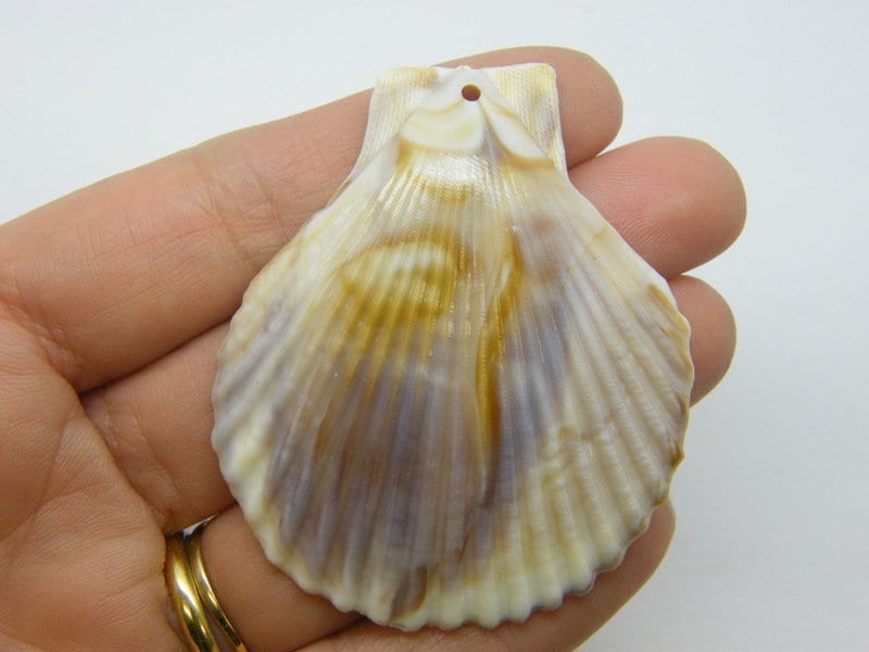 8 Shell scallop pendants imitation stone  acrylic FF318