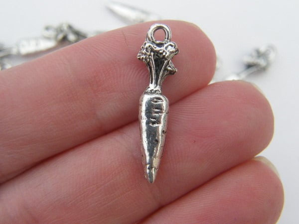 10 Carrot charms antique silver tone FD267