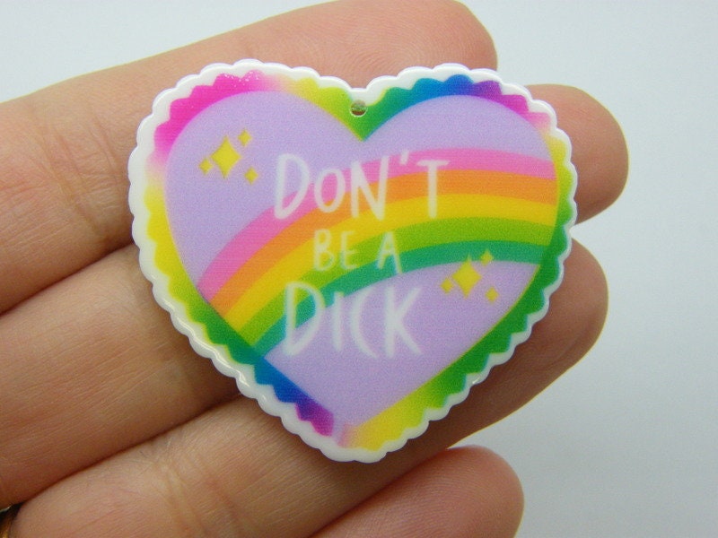 2 Don't be a dick rainbow heart pendants acrylic M440