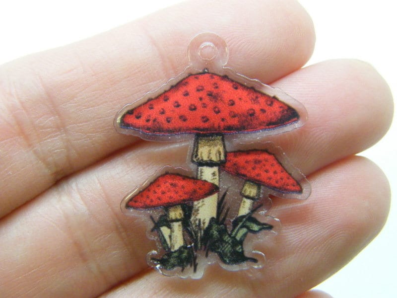 2 Mushrooms pendants acrylic L279