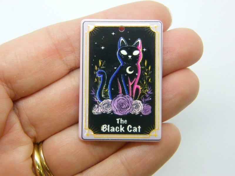 2 The black cat tarot card pendant acrylic HC645