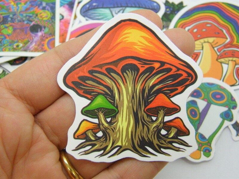 50 Mushroom themed stickers random mixed paper 068