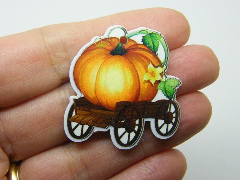 8 Beautifully printed pumpkin  on a carriage Fall Autumn pendants orange brown white acrylic FD242