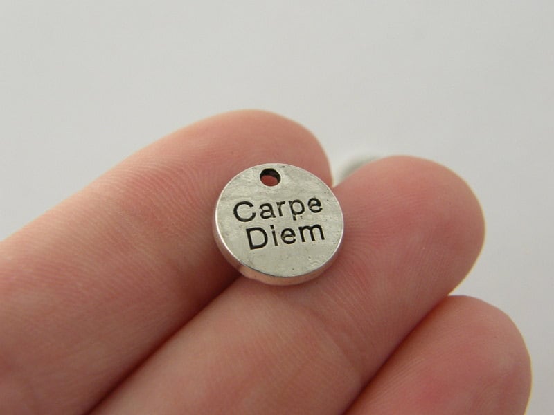 12 Carpe Diem charms silver tone M369