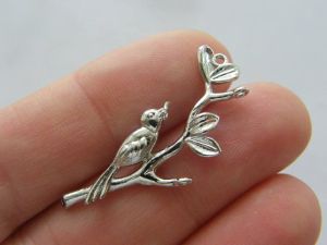 6 Bird in a tree connector charms silver tone B110