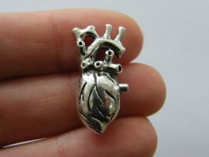 2 Human heart organ charms antique silver tone MD126