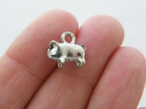 12 Pig charms antique silver tone A1023