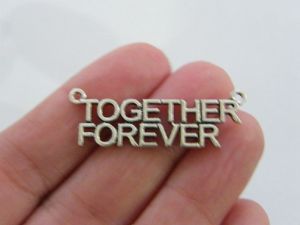 12 Together Forever connector charms silver tone M182