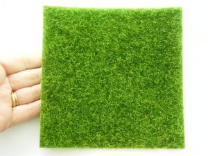 1 Green lawn grass - it&#39;s not always greener on the other side embellishment