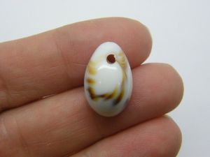 20 Shell cowrie pendants imitation stone  acrylic FF706