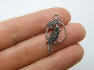 12 Parrot bird charms antique silver tone B25