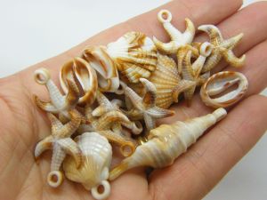 30 Sea shell and starfish charms  random mixed acrylic FF333