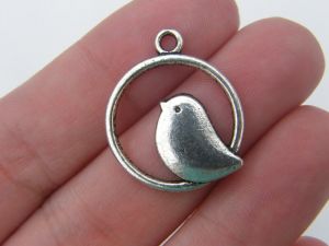 6 Bird on perch charms antique silver tone B42