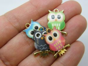 4 Owl charms gold and random mixed tone B170
