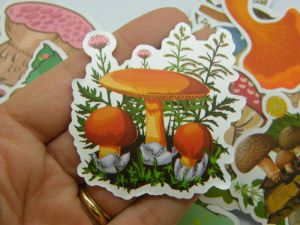 100 Mushroom themed stickers random mixed paper 066