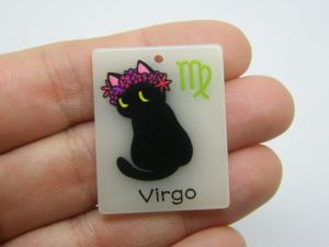 2 Virgo  Zodiac star sign glow in the dark pendant acrylic