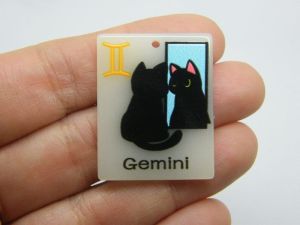 2 Gemini  Zodiac star sign glow in the dark pendant acrylic