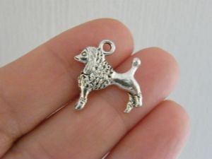 10 Poodle dog charms antique silver tone A907