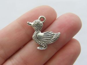 6 Duck charms antique silver tone B71