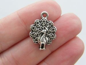 8 Peacock charms antique silver tone B37