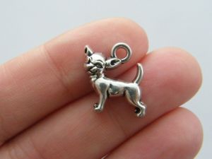 4 Chihuahua dog charms antique silver tone A796